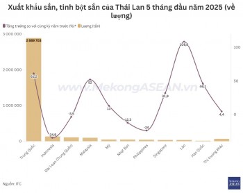 Xuất khẩu sắn của Thái Lan tăng tới 44% về lượng
