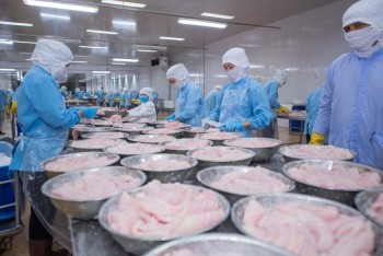 PAN Group: Doanh thu mảng thuỷ sản tăng mạnh, giảm nắm giữ tiền mặt