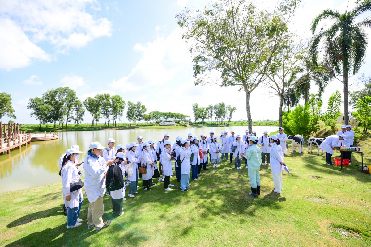 Trang trại Vinamilk Green Farm dưới lăng kính phát triển bền vững