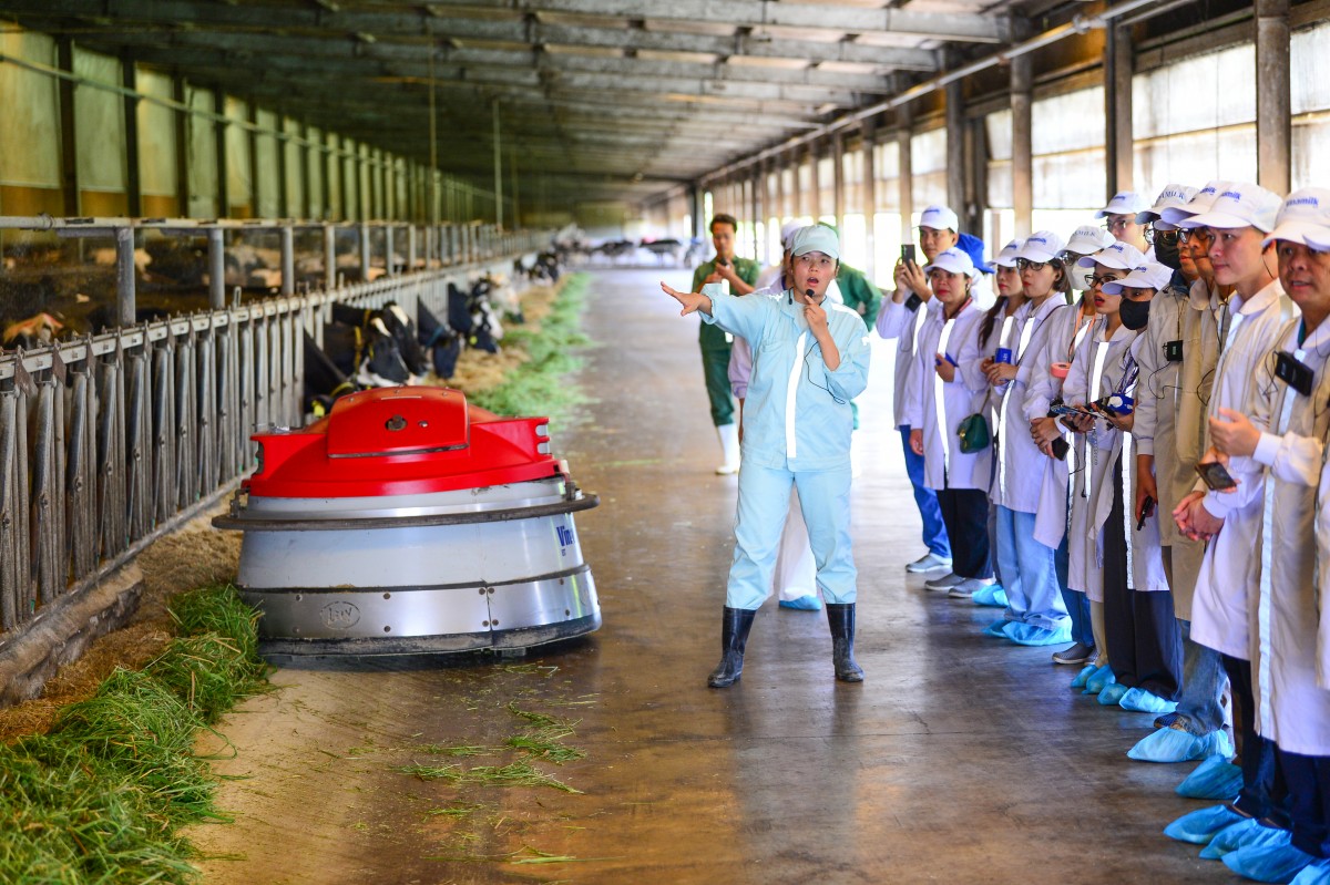 Trang trại Vinamilk Green Farm dưới lăng kính phát triển bền vững
