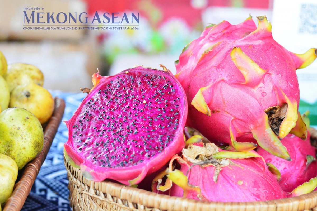 Ảnh minh họa: Lê Hồng Nhung - Mekong ASEAN.