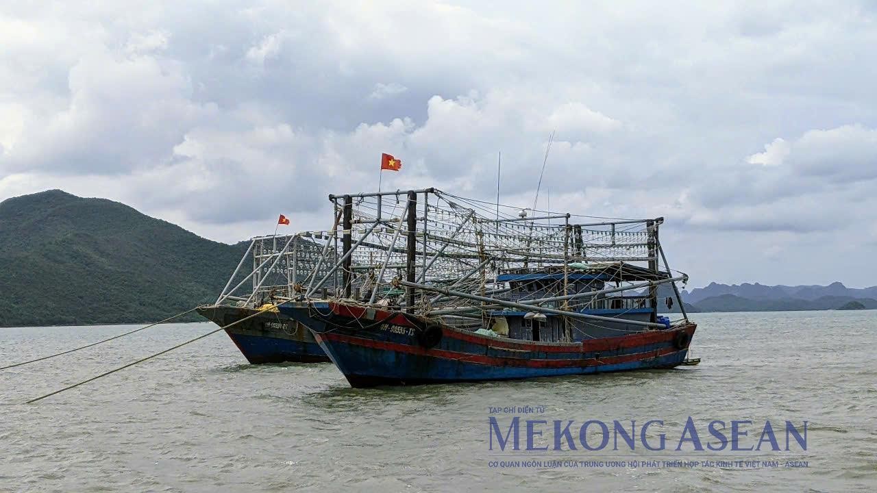 Thủ tướng yêu cầu xử lý nghiêm, chấm dứt vi phạm khai thác IUU