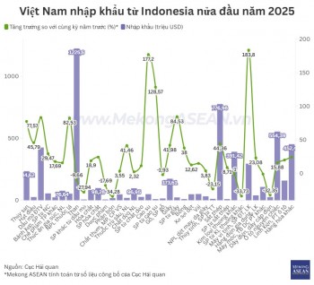 Việt Nam chi hơn một tỷ USD để nhập khẩu than từ Indonesia