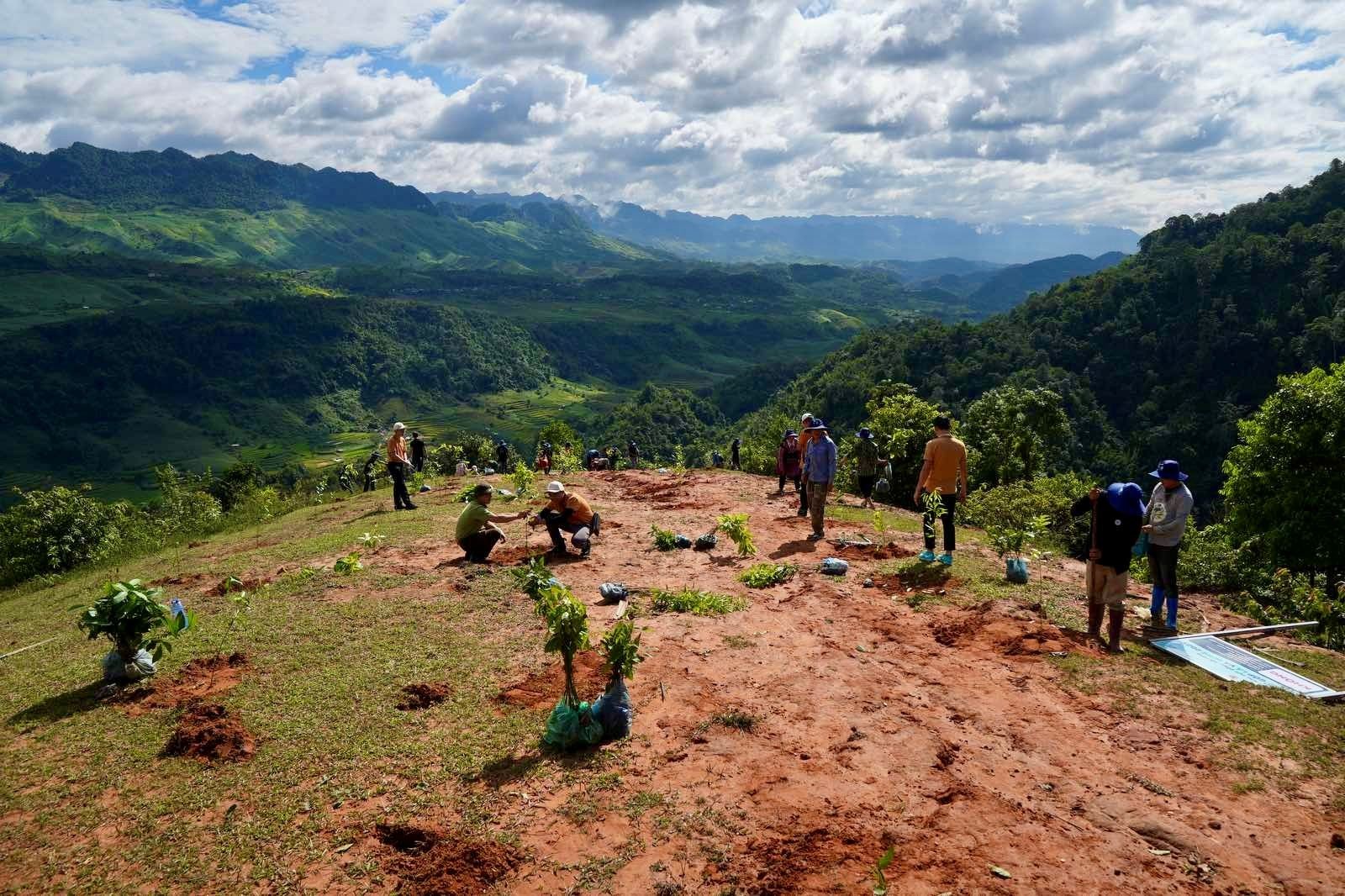 'Góp lá vá rừng': Vietnam Airlines chung tay phục hồi hệ sinh thái bền vững giữa đại ngàn Tây Bắc