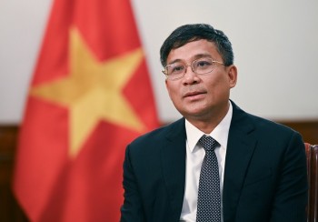 Thúc đẩy mạnh mẽ hơn nữa quan hệ Việt Nam và Hàn Quốc