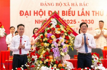 Xã Hà Bắc, Hải Phòng phấn đấu đẩy mạnh công nghiệp hóa nông nghiệp