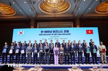 Việt Nam - Hàn Quốc ký loạt thỏa thuận hợp tác trên nhiều lĩnh vực