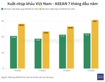 Xuất nhập khẩu Việt Nam - ASEAN lập đỉnh 4 năm, vượt mốc 50 tỷ USD trong 7 tháng