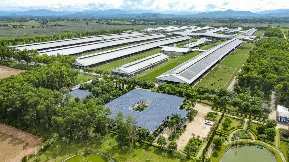 Vinamilk lần đầu được xếp hạng sức mạnh thương hiệu xuất sắc, vượt trội toàn cầu