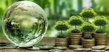 Cơ hội được đào tạo chuyên sâu tài chính năng lượng xanh cho dự án lớn