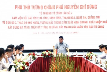 Phó Thủ tướng làm việc với 5 địa phương về thúc đẩy đầu tư công