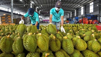 HAG thoát diện cảnh báo, con trai bầu Đức muốn nâng sở hữu lên gần 5%