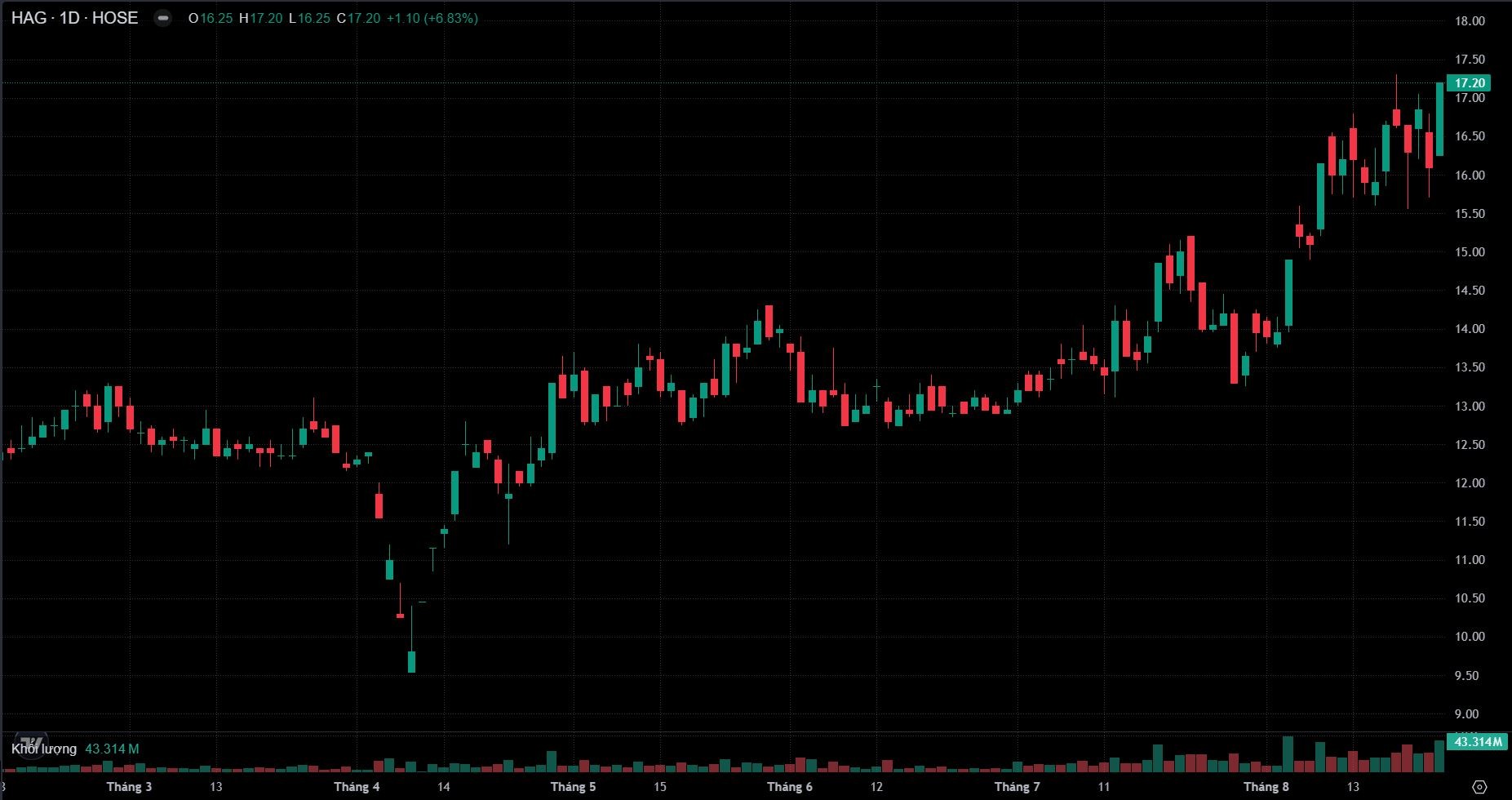 HAGL triển khai phát hành 210 triệu cổ phiếu hoán đổi nợ
