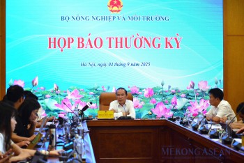 Dịch tả lợn châu Phi bùng phát, lỗ hổng lớn từ chăn nuôi nhỏ lẻ