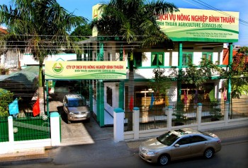 Nhiều doanh nghiệp tăng lỗ, giảm lãi sau kiểm toán