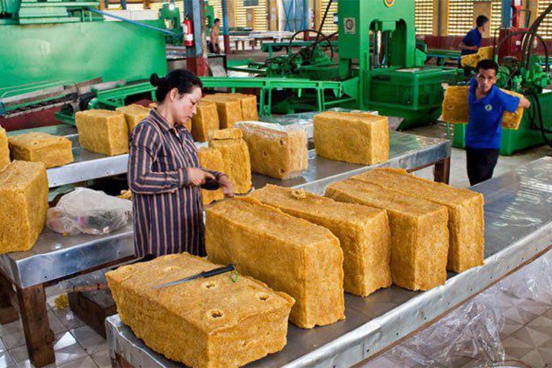 Campuchia phê duyệt gần 500 dự án đầu tư trong 8 tháng đầu năm 2025