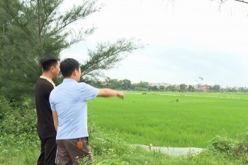 Hải Phòng tích cực giải phóng mặt bằng cho dự án đường sắt