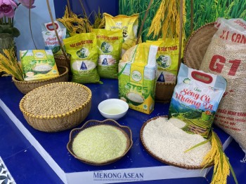 Thủ tướng ra công điện thúc đẩy sản xuất, xuất khẩu, ổn định thị trường gạo