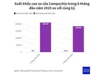 Campuchia: Gần 330 triệu USD doanh thu xuất khẩu cao su 8 tháng