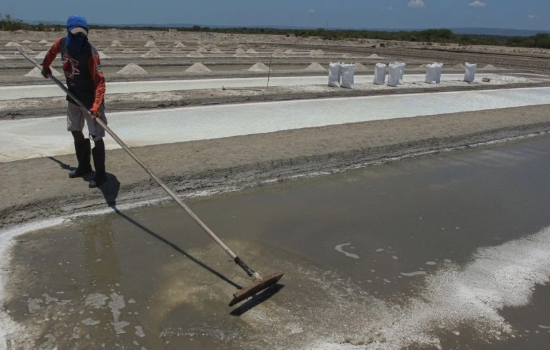 Indonesia dự kiến ngừng nhập khẩu muối từ năm 2027