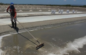 Indonesia dự kiến ngừng nhập khẩu muối từ năm 2027