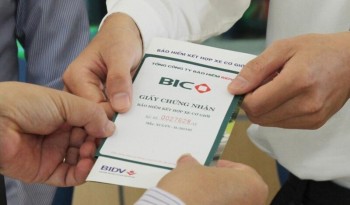 Chi phí bồi thường tăng hơn 40%, lợi nhuận quý 2 của BIC giảm 2 chữ số