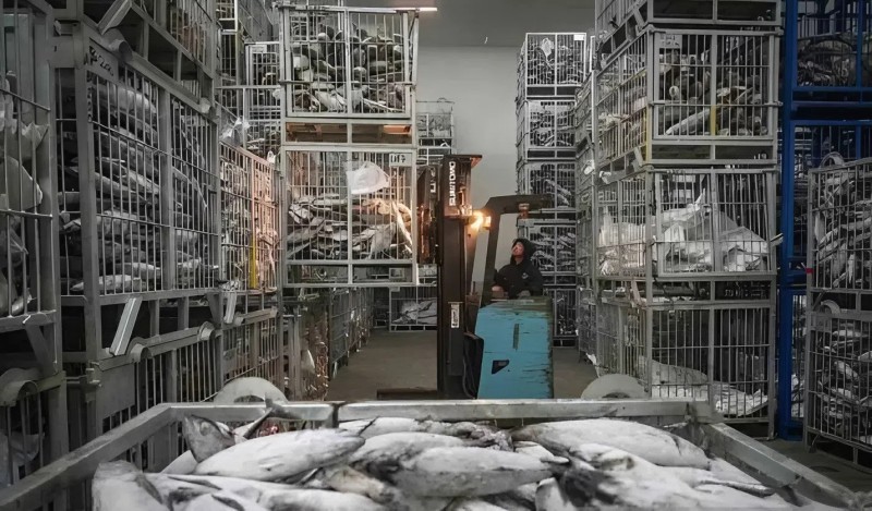 Indonesia: Gần 700 công ty chế biến cá tiếp cận thị trường Đài Loan