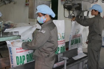 VNDirect: Lợi nhuận năm 2025 của doanh nghiệp phân bón sẽ tăng trưởng mạnh