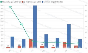 MBS dự báo doanh nghiệp điện tăng trưởng mạnh nhất quý 3/2025
