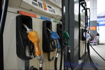 Giá xăng dầu đồng loạt giảm chiều 20/11