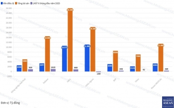So kè Nông nghiệp Hoà Phát và các công ty niêm yết cùng ngành