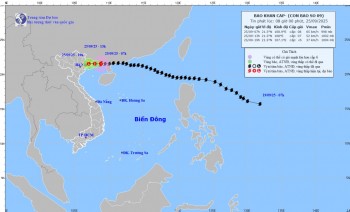 Bão Ragasa giảm xuống cấp 8, trưa nay đi vào Quảng Ninh