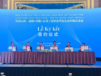 Việt Nam trở thành đối tác thương mại lớn thứ ba của tỉnh Sơn Đông (Trung Quốc)