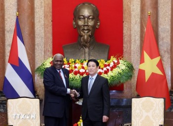 Việt Nam muốn nâng cao hơn nữa hiệu quả hợp tác với Cuba