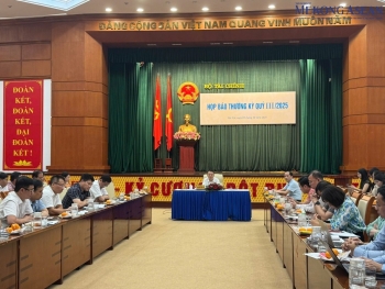 Hoạt động kinh doanh casino tại Việt Nam thua lỗ do đâu?