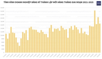 Hơn 230.000 doanh nghiệp gia nhập và tái gia nhập thị trường
