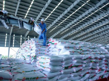 Những doanh nghiệp đầu tiên hé lộ kết quả kinh doanh quý 3