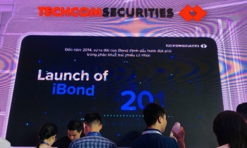 Cổ đông TCBS chốt phương án vay 50 triệu USD từ DEG