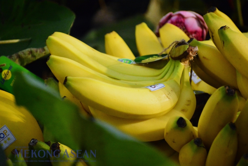 Việt Nam xuất khẩu nông sản sang ASEAN giảm gần 30%