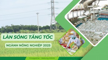 Làn sóng tăng tốc của các ông lớn ngành nông nghiệp năm 2025