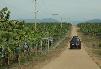 HAGL hoán đổi nợ thành vốn góp tại công ty con