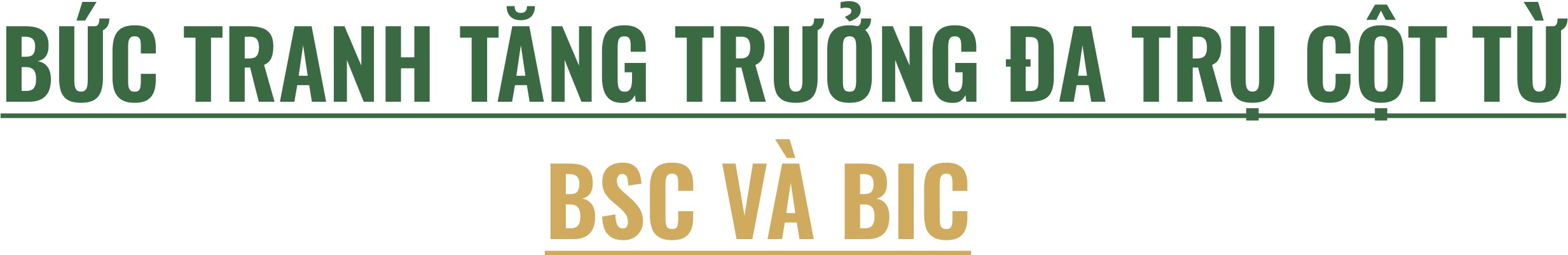 BIDV trở lại chia cổ tức và vươn tới mốc tài sản kỷ lục