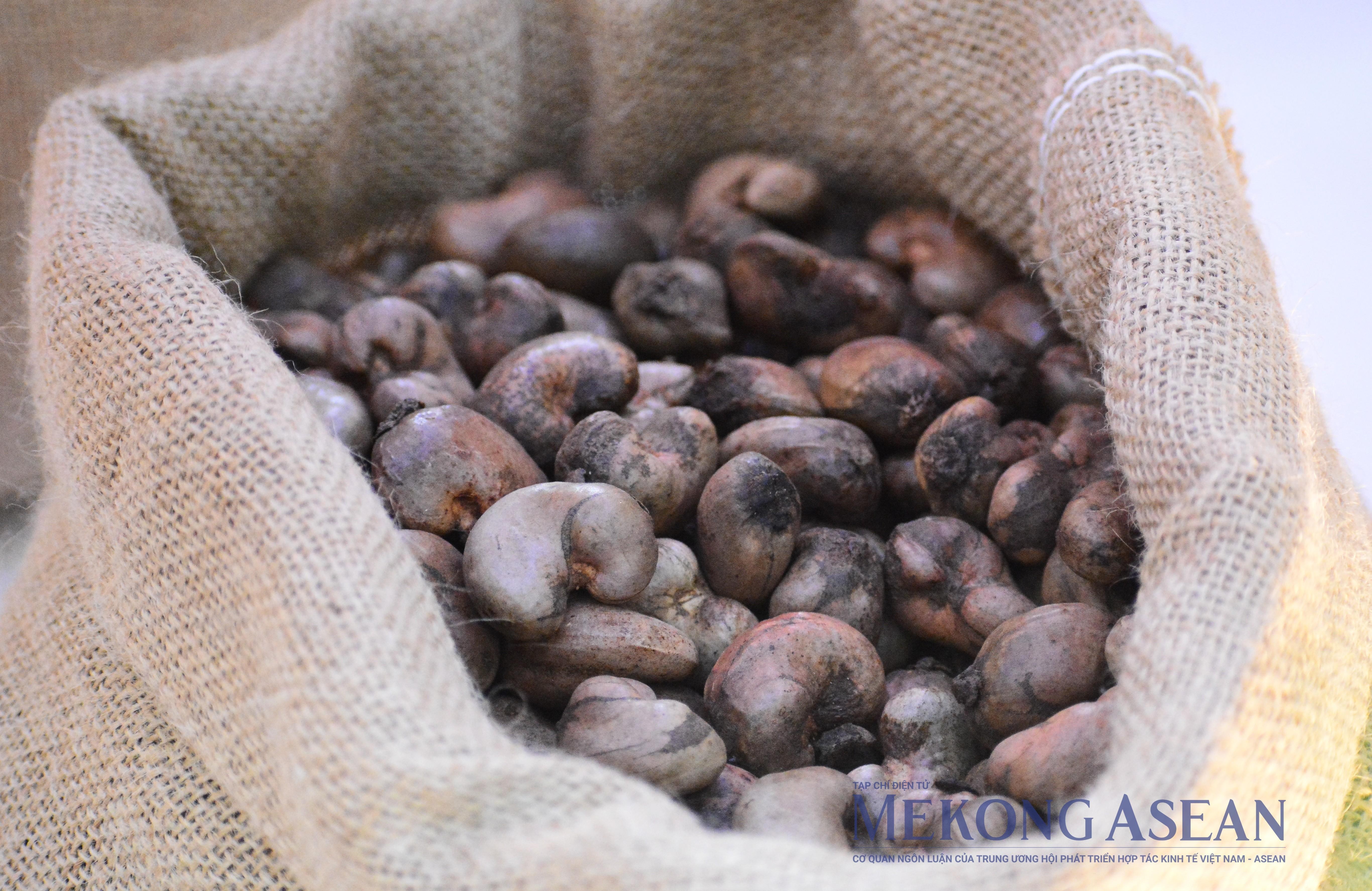 10 mặt hàng xuất nhập khẩu lớn nhất giữa Việt Nam - Campuchia