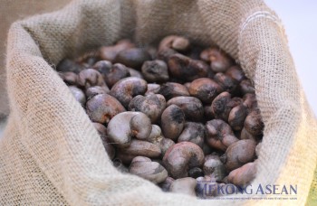 10 mặt hàng xuất nhập khẩu lớn nhất giữa Việt Nam - Campuchia