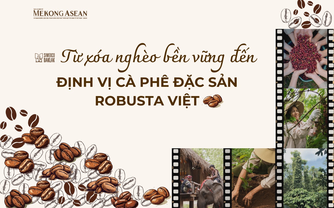Từ xóa nghèo bền vững tới định vị Robusta Việt trên bản đồ cà phê thế giới