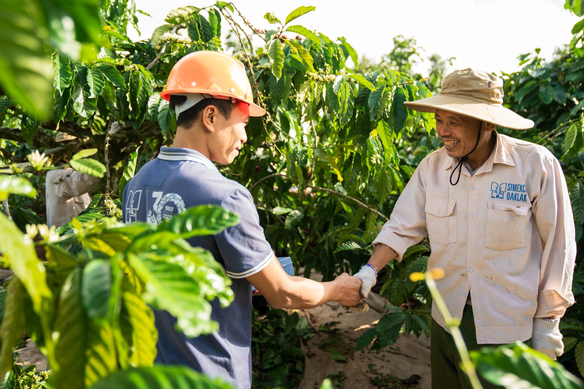 Từ xóa nghèo bền vững tới định vị cà phê đặc sản Robusta Việt