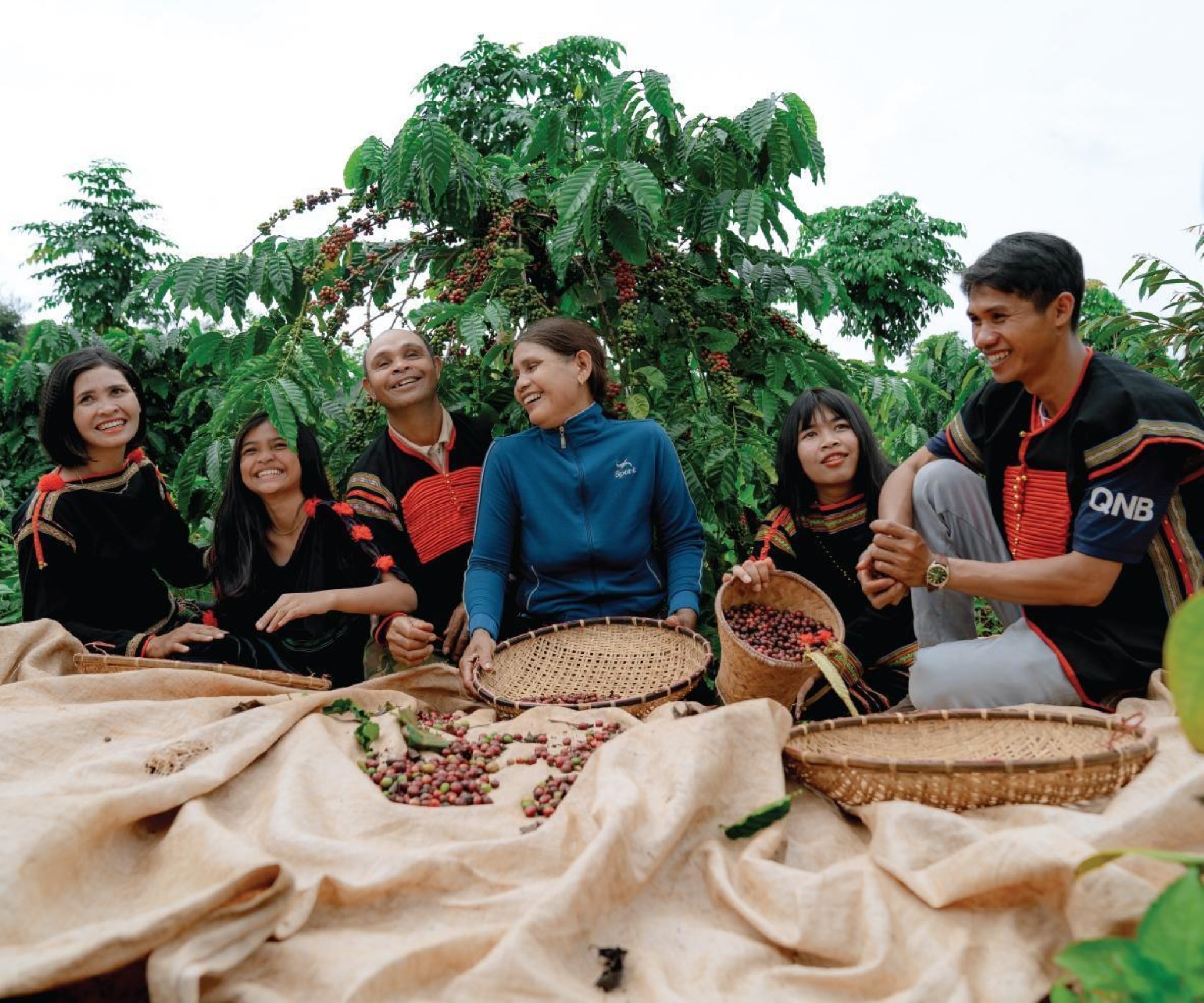 Từ xóa nghèo bền vững tới định vị cà phê đặc sản Robusta Việt