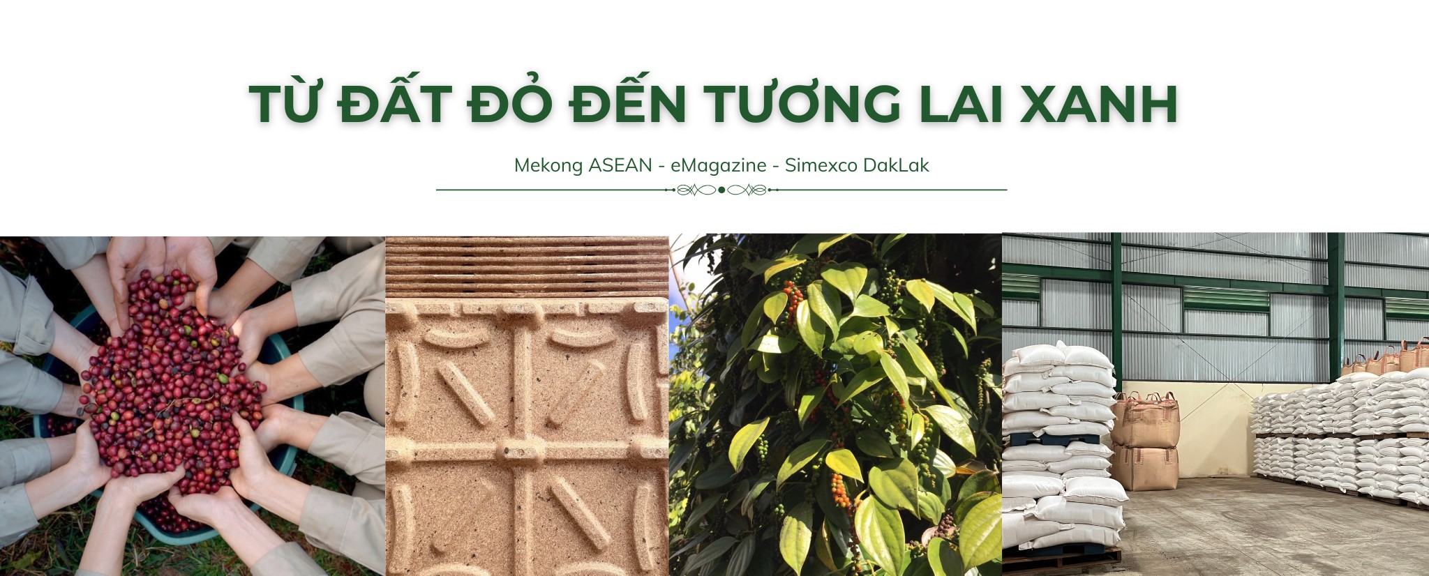 Từ xóa nghèo bền vững tới định vị cà phê đặc sản Robusta Việt