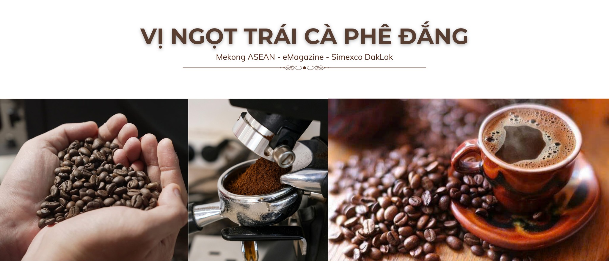 Từ xóa nghèo bền vững tới định vị cà phê đặc sản Robusta Việt