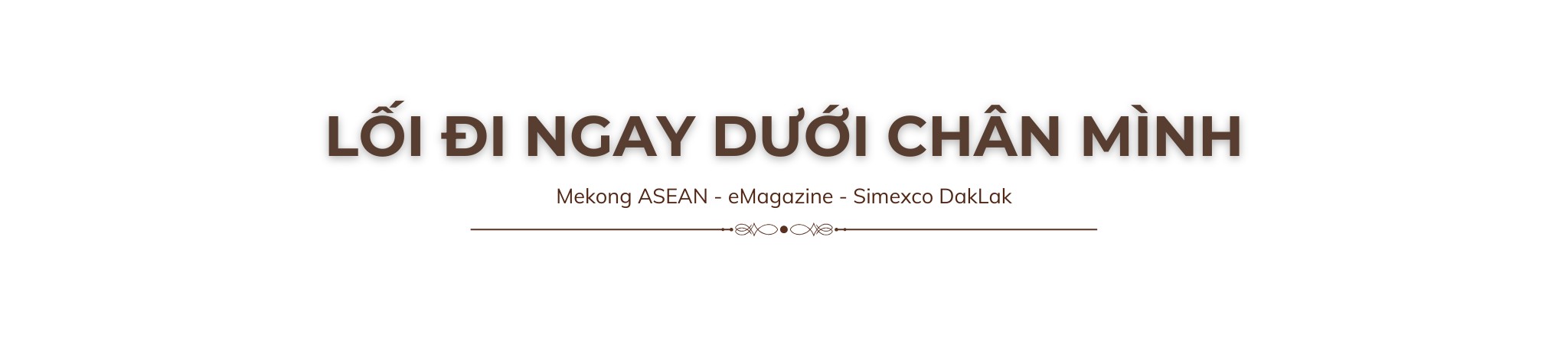 Từ xóa nghèo bền vững tới định vị cà phê đặc sản Robusta Việt